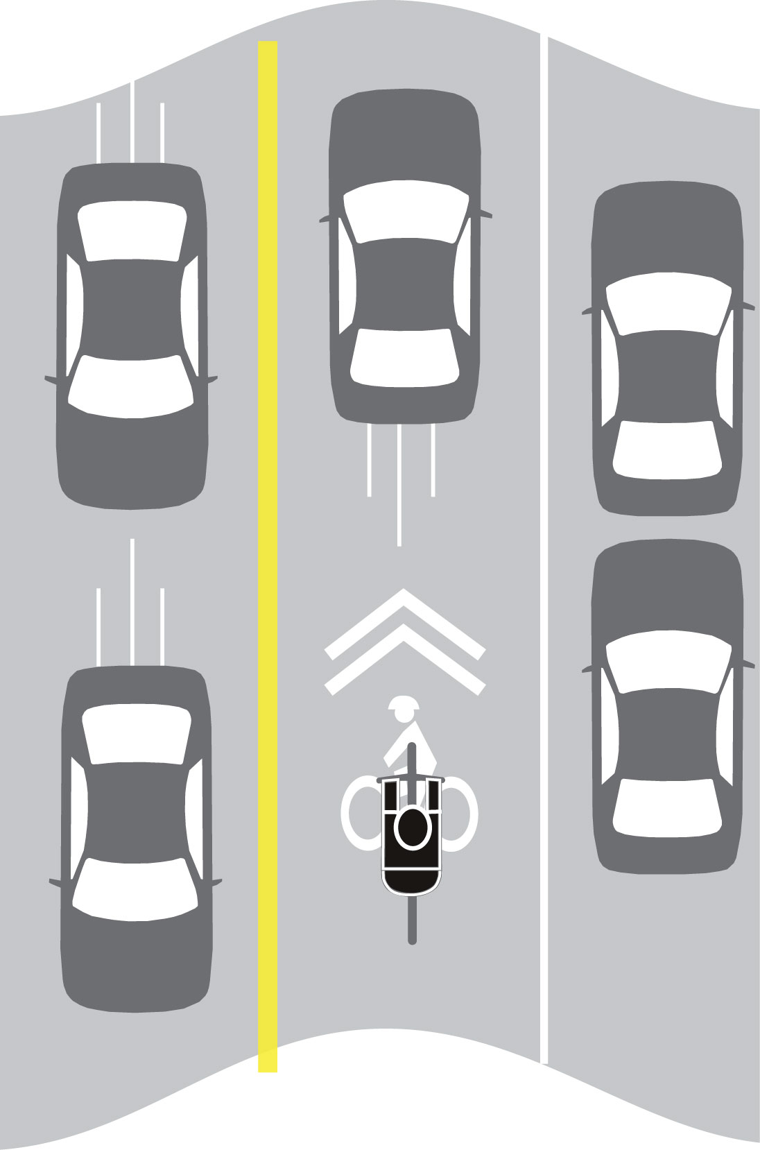 Routes & Sharrows: Illustration of bikes on bike on a sharrow.